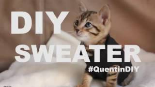 DIY  Cat Sweater [upl. by Dunstan]