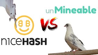 CPU Mining Nicehash vs Unmineable [upl. by Ofella]