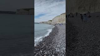 Seven Sisters Cliffs beauty nature sea ocean wildlife seagull birds sun sky [upl. by Sinnaoi758]