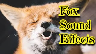 Fox Sound Effects [upl. by Lleryd]