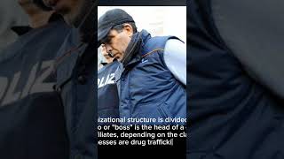 The Camorra  One of the biggest Drug Gang in the world gangster mafia mafiagangster [upl. by Drisko]