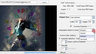 Install Converter SWF to GIF Animation 41 Full [upl. by Hanleigh85]