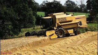 Combining with New Holland TX 65  Unloading to Massey and Rowing Up the Straw with Massey [upl. by Juley]