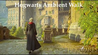 Walking to Divination Class  Hogwarts Legacy Tour ambience [upl. by Dent]