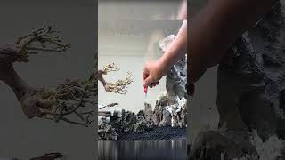 DIY Guide To Making A Diorama Aquarium Thats Cost Effective And Extremely Beautiful aquarium diy [upl. by Amjan]