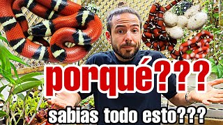 MISTERIOS de la NATURALEZA CURIOSIDADES que os desvelo SABIAS TODO ESTO [upl. by Lebisor793]