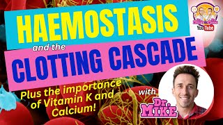 Hemostasis and the Clotting Cascade Why Vitamin K amp Calcium are important [upl. by Corie]