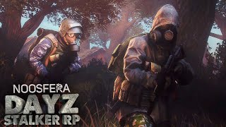 Вылазка за Хабаром ⚛️ Dayz Noosfera STALKER RP [upl. by Judas]