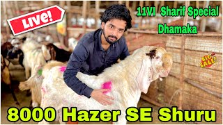 Deonar Bakra Mandi Saturday Latest Update 12 October 2024  8k Hazer Se Bakra Lo 11VI Sharif Ki Liye [upl. by Liza497]