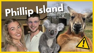 First Time Meeting Australian Wildlife at Phillip Island 🦘 [upl. by Akimihs353]