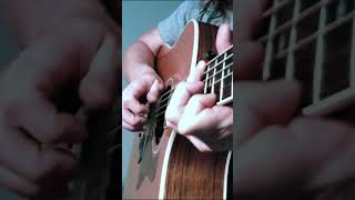 Hopelessly Devoted To You acoustic guitar fingerstyle instrumental cover shorts [upl. by Bixby273]