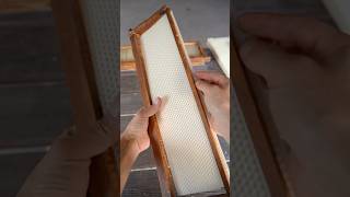 Preventing Wonky Comb amp Why Flow Hive doesn’t provide foundation Pt 3 flowhive beekeeping bees [upl. by Darian]