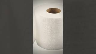 Cheese ❌ Toilet paper ✅ Send your friend a edit of toilet paper now toiletpaper [upl. by Roti]