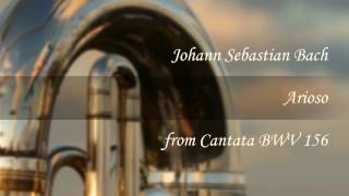 Arioso Bach  Tuba amp Piano [upl. by Calley]