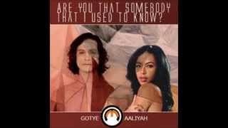 Aaliyah vs Gotye Are You That Somebody That I Used To Know [upl. by Nevla149]