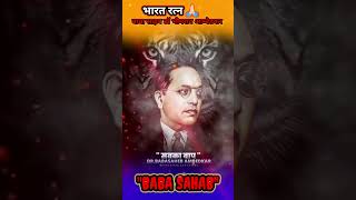 ‼️ विष्व रत्न जय भीम। shortsfeed ytshortsvideo mroofficial chandrasekharazad bhimarmy [upl. by Nilac518]