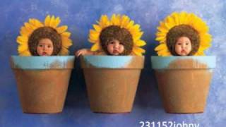 Popurri a Poneloya  Trio Los Girasoles [upl. by Trimmer]