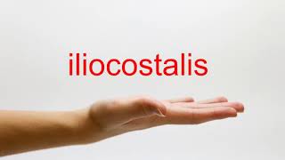 How to Pronounce iliocostalis  American English [upl. by Johnstone902]