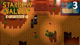 Stardew Valley 16 3  New Friends [upl. by Buyers]