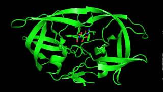 hiv protease pymolmov [upl. by Friederike]