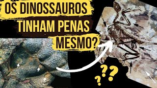 Os DINOSSAUROS tinham PENAS mesmo [upl. by Wrand655]