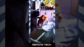 Fun with 😺 beast vikram bgm movie cat beastthememusic music diwalimusic funny remotetech [upl. by Fleurette]