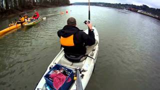 Kayak Fishing for Sturgeon in the Willamette River [upl. by Morey]