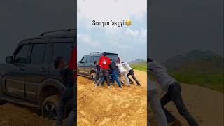 Scorpio Fas Gayi🔥😁 ll shorts ytshorts shortvideo shortsfeed facts viralshorts viral ll [upl. by Hael412]