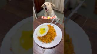 Ramyun recipe ramyun noodles food shortsfeed foodie cooking cookinshort kitchen dog [upl. by Mulderig901]