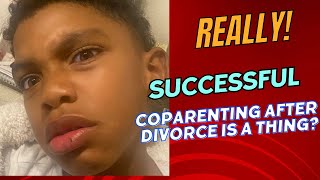 Successful Coparenting after Divorce [upl. by Colwin]