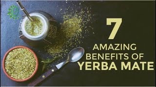 7 Reasons Why You Should Drink Yerba Mate Instead Of Coffee  Organic Facts [upl. by Yeliw]