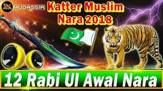 New 12 Rabi Ul Awal Special Dj Mix Nara 2018  VOL1  JBL Mix Dj Mudassir [upl. by Ardnuat884]