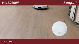 Milagrow Seagull  Gyro Mapping Dry Vacuuming amp Slight Wet Mopping Floor Robot [upl. by Nauqat115]