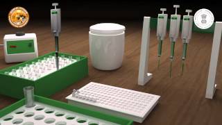 Serial dilution and plate count [upl. by Jacqui]