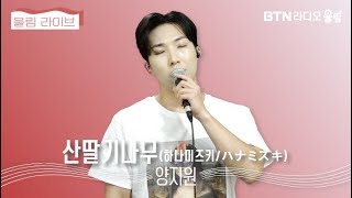 울림Live 양지원 하나미즈키 ハナミズキ 라이브 원곡  히토토요 一靑窈 [upl. by Garceau]