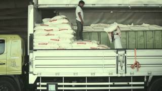 BUNGASARI FLOUR MILLS  COMPANY PROFILE ENGLISH [upl. by Annhej]