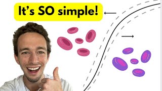 OxygenHemoglobin Dissociation Curve  EASY Explanation with visuals [upl. by Schott]