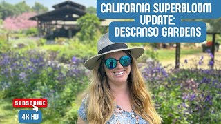 California Superbloom Update Descanso Gardens in April [upl. by Aman]