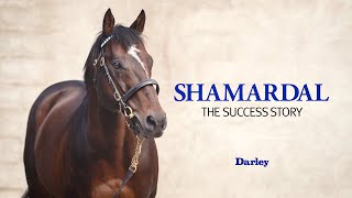 Shamardal  The Success Story [upl. by Anaidni]