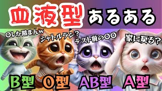 血液型あるあるが面白すぎるw【猫アニメ】 [upl. by Ardnnek]