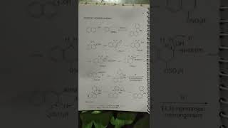 Bucherer carbazole synthesis [upl. by Aratak]