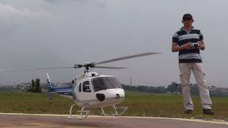 Century AS350 Ecureuil 600 Size Scale Rotor Head [upl. by Adnoluy420]