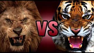 Ancient Rome Venationes The Hunts and the truth about tigers vs lions fights [upl. by Anel698]