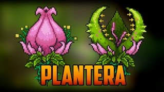 Como encontrar Plantera  Terraria [upl. by Saenihp946]