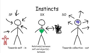 Enneagram Instincts Explained in 3 Minutes [upl. by Ailito405]