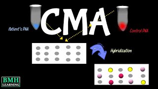 Chromosomal Microarray Test  Chromosomal Microarray Analysis  CMA Test [upl. by Adnovahs652]