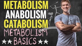 Metabolism Anabolism and Catabolism [upl. by Hait]