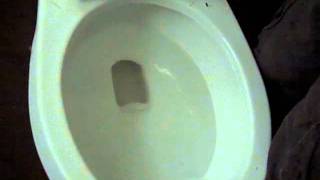 2356 1990 American Standard Cadet Pressure Assist Toilet wPush Button on Lid Reshoot Moms POV [upl. by Eleets421]