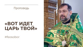 Торжественный вход в Иерусалим Проповедь протоиерея Димитрия Сизоненко [upl. by Ynnelg]