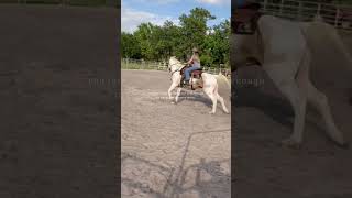 Almost a year since my first barrel lesson rideforrigel barrelracer [upl. by Shanleigh]